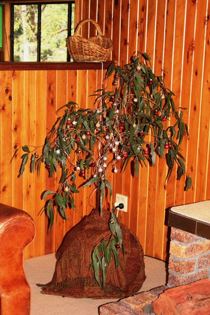 chrissy_tree.jpg