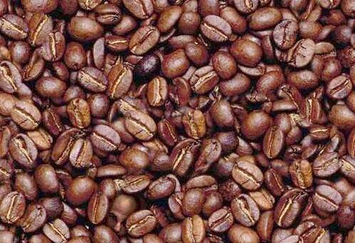 coffee_bean.jpg