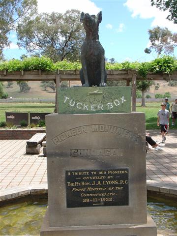 dogontuckerbox.JPG