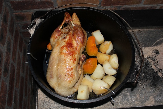 duck3.JPG