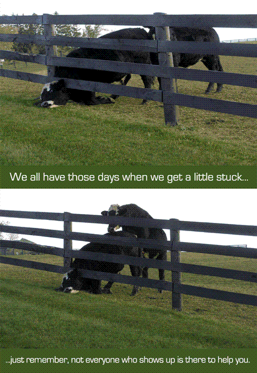 image001_Large.gif