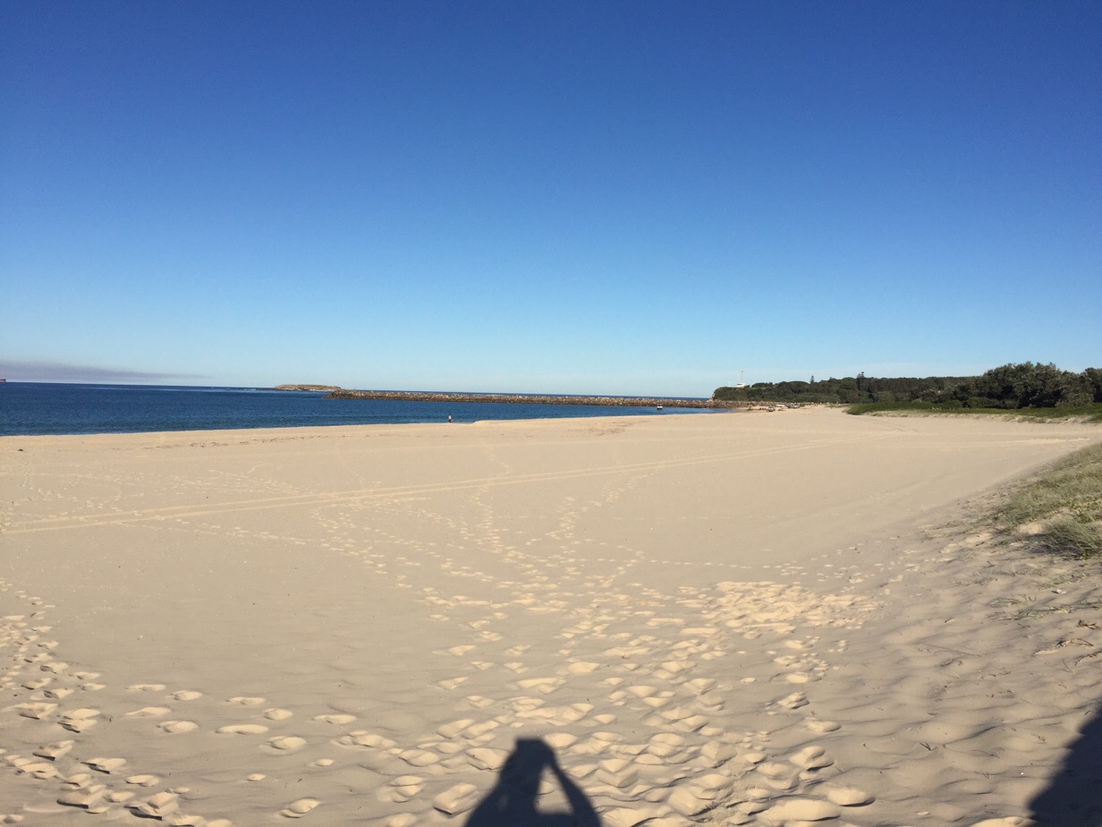 image_224.jpeg