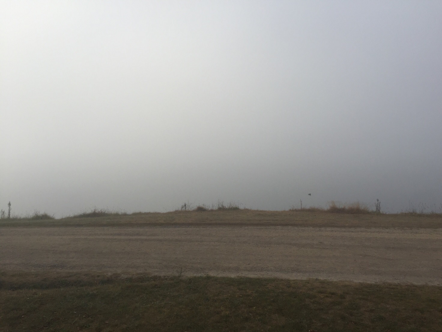 image_244.jpeg