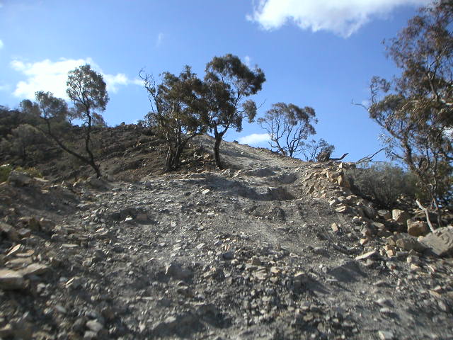 image_684.jpeg
