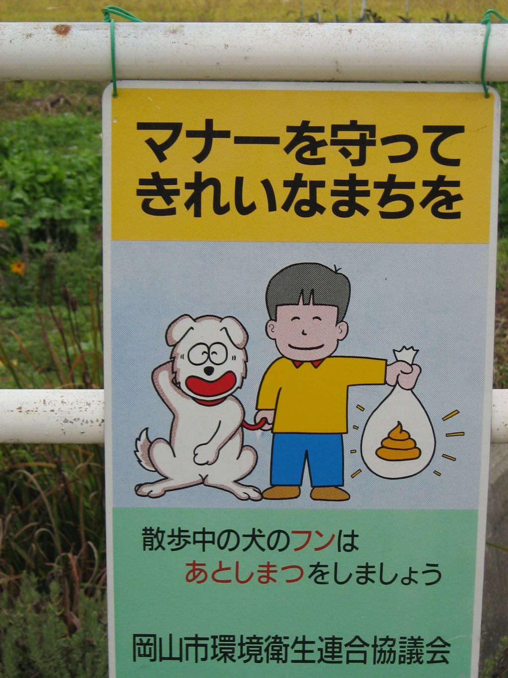 japan_1.JPG