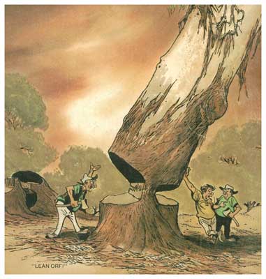 jolliffe-cover5.jpg