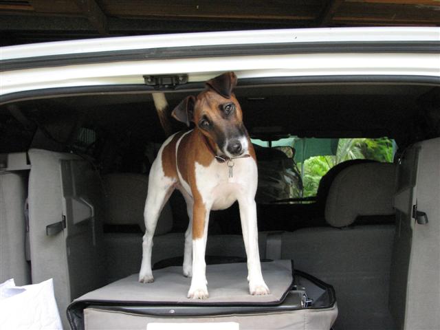 piccys_018_Small.jpg