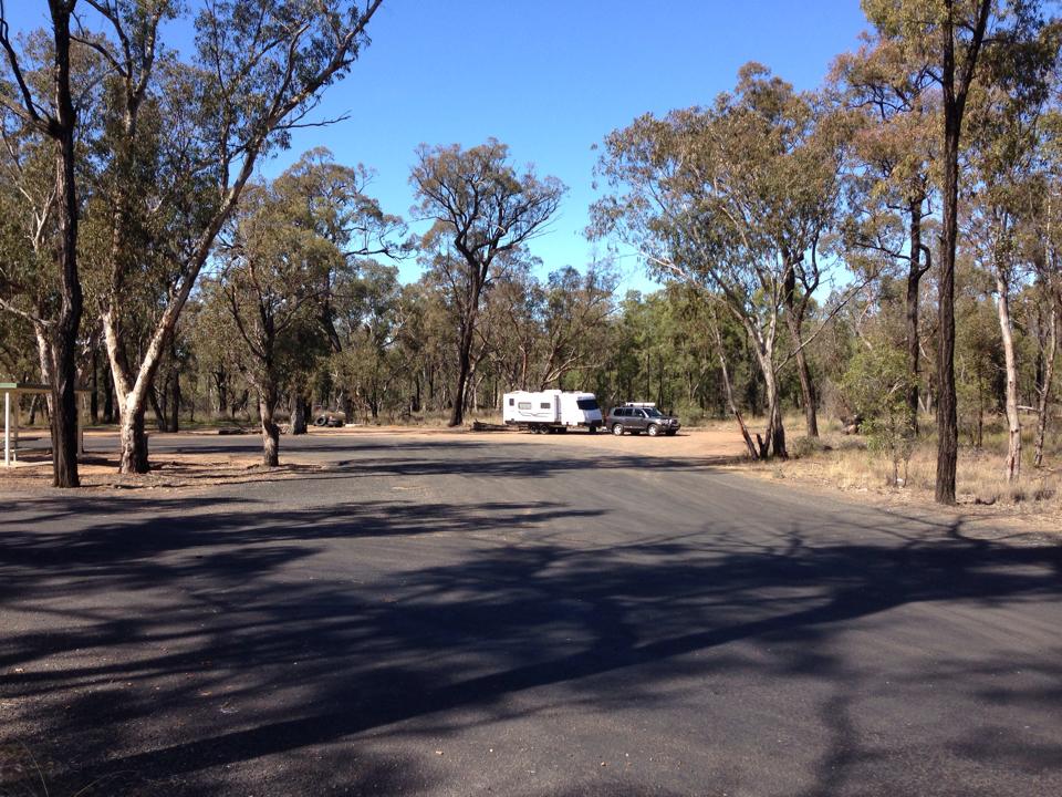 pilliga.jpg