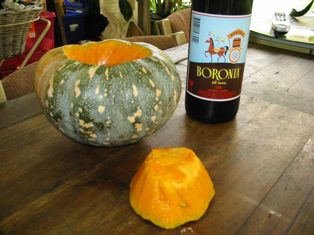 punkin.JPG