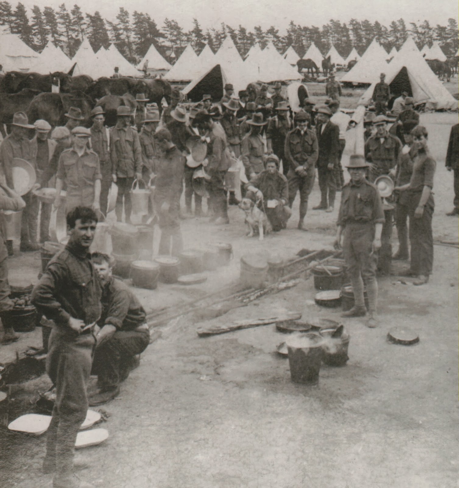 ww1_007.jpg