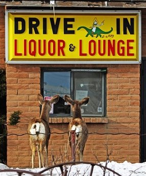 wyoming_wildlife.jpg